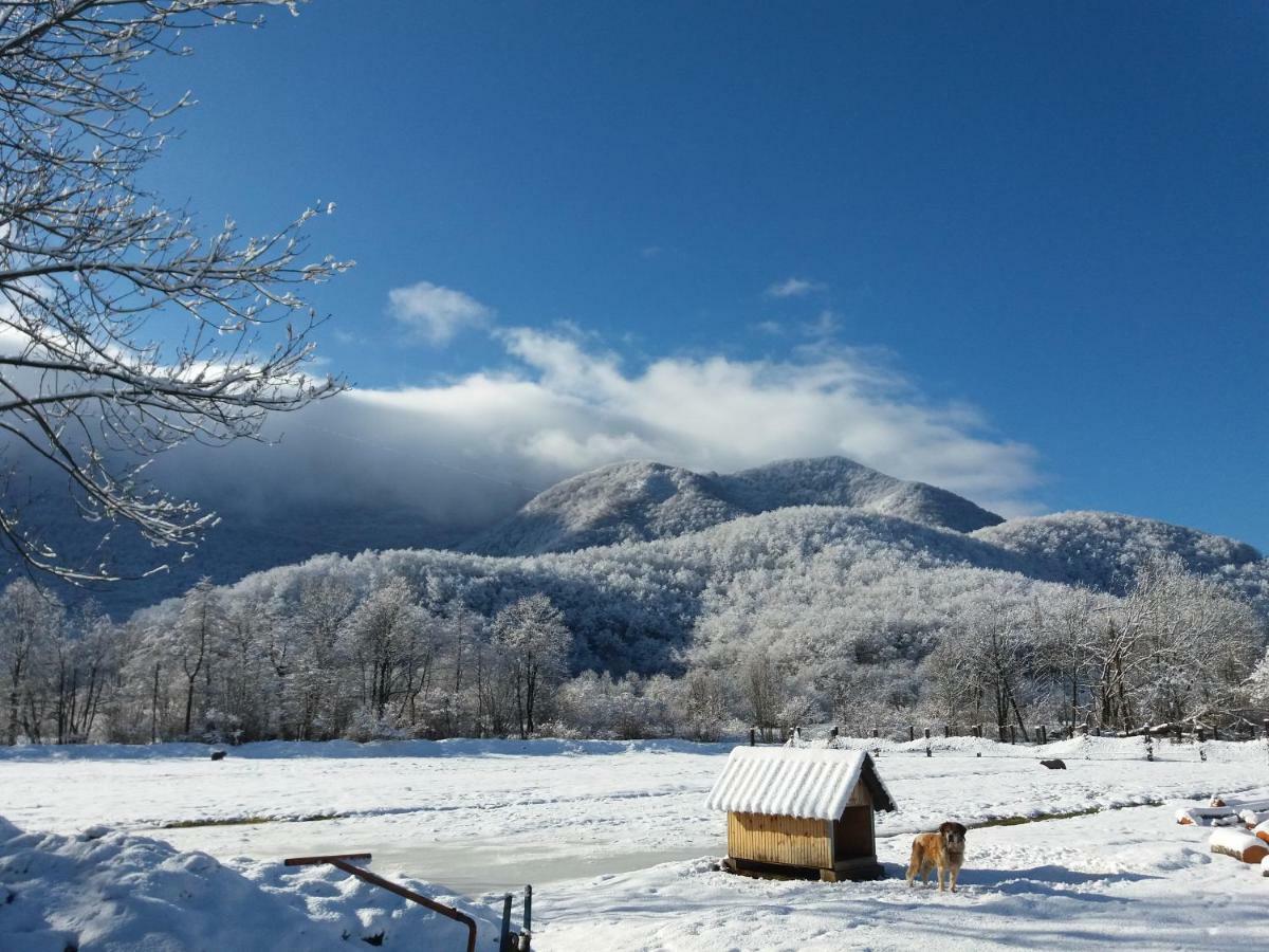 Kuca Za Odmor Dikka Brusane Lika Dış mekan fotoğraf